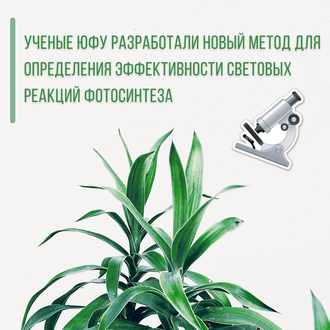 ЮФУ tweet media
