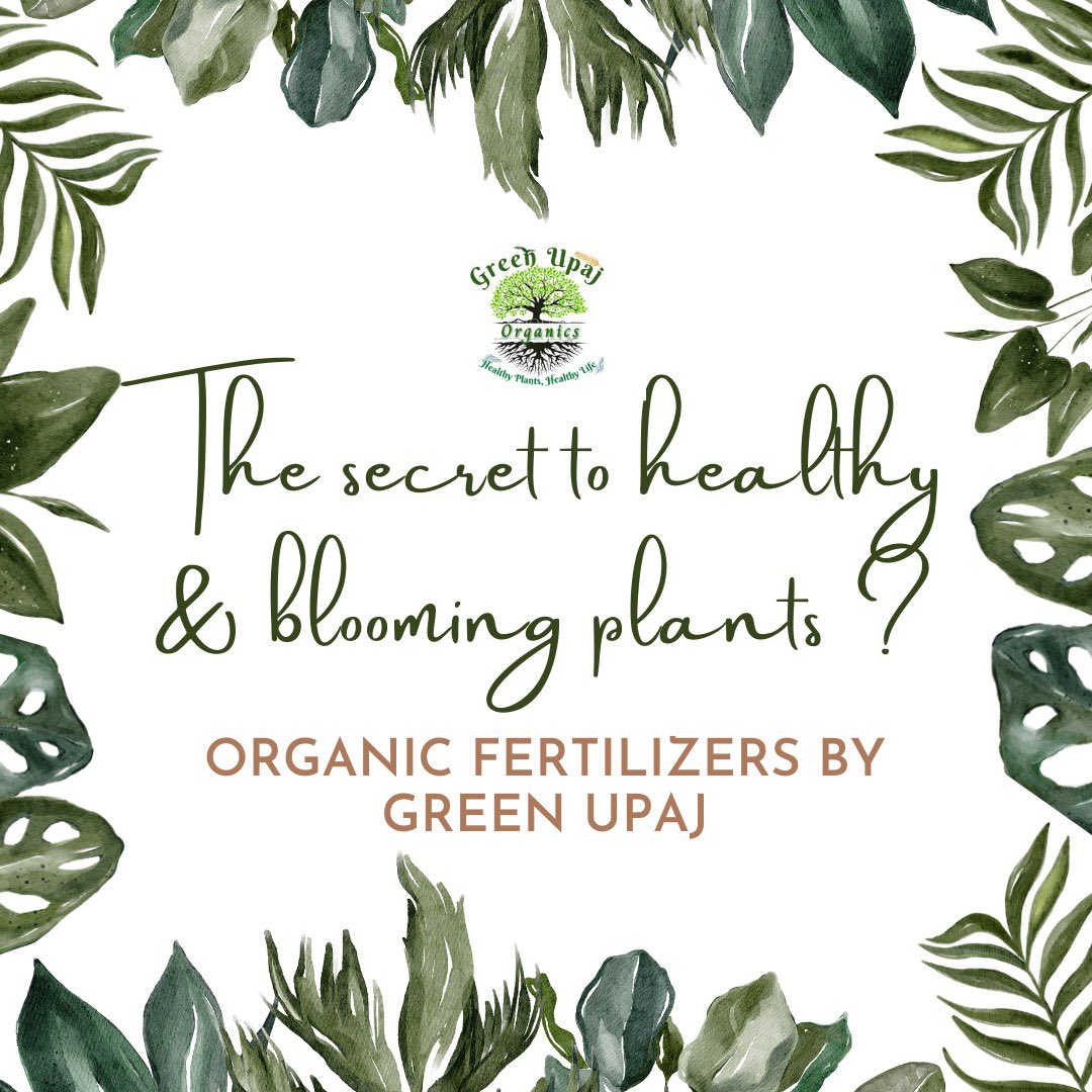 GreenUpaj's tweet photo. Try our organic fertilizers for a healthy lifestyle
#greenupaj #Greenplants #organic #fertilizers #chemicalfree #plantlover #healthygarden #gardenhacks #greengarden #nature #instagram #likeforlike #followforfollowback #instagram #greenplants #naturalfertilizer #organicgrowth https://t.co/fzJYHUl69t