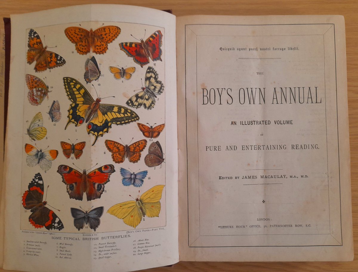 BristolLibrary's tweet photo. Giving annuals as Christmas gifts goes back a long way. I'm sure young David was delighted by this gift from his sisters in 1892 #Christmas #ChristmasintheLibrary https://t.co/dq6DDVDQfP