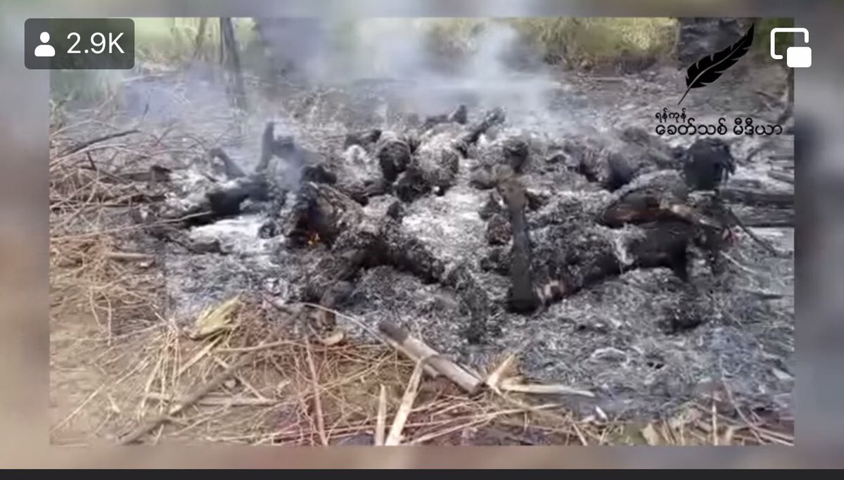 Burmese terrorists military burned 11 persons alive .They are monsters.The world is still silent.#WhatishappeninginMyanmar #burnalivebyjunta