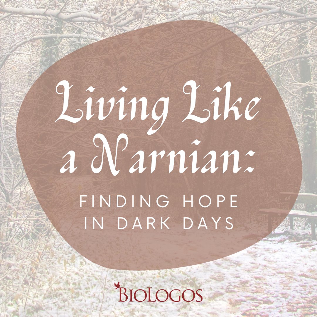 BioLogosOrg's tweet photo. These are dark days, and optimism is in short supply. But we’re Christians, and this is Christmas. Shouldn’t we, of all people, be hopeful?⁠
⁠
READ: https://t.co/fF9aNr6jmG https://t.co/rcmNrIWAfB