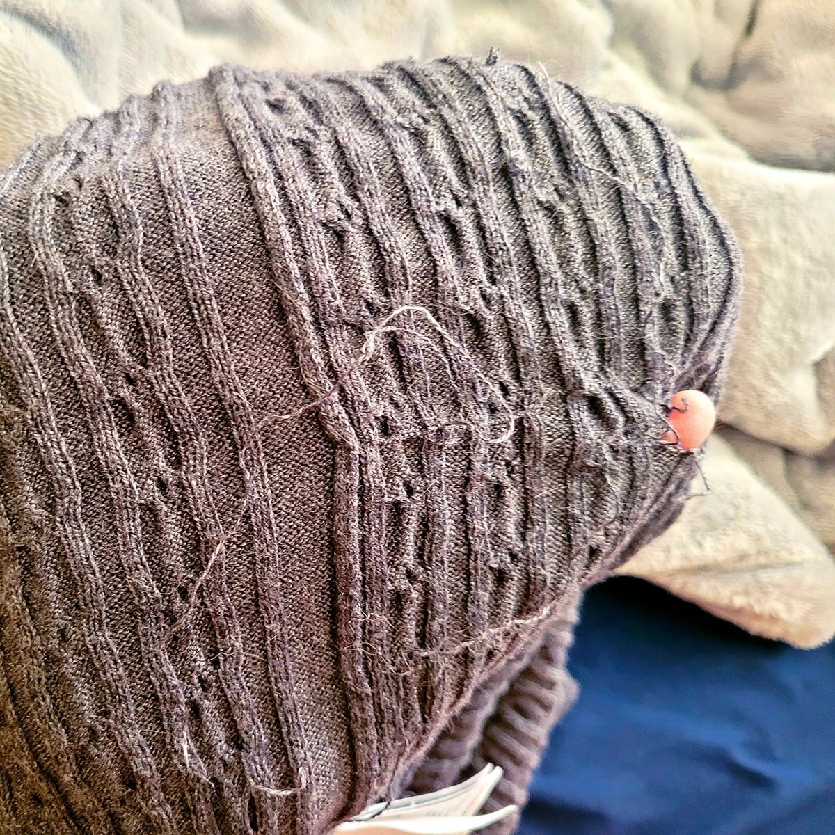 Lord_Fezzik's tweet image. My catvent calendar is fun
But I have something better! 
What could beat a box of toys?
The human's favorite sweater! 

#NaughtyList #NotAToy #ItsMineNow #CatsOfTwitter