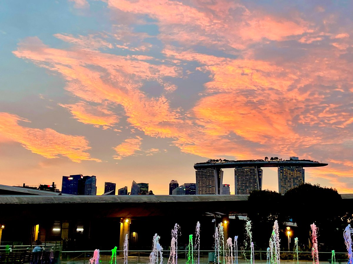 koolshark2's tweet photo. A murder of #housecrows with a backdrop of #Singapore’s iconic #MarinaBaySands skyline. Much smaller than American or fish crows & they are *everywhere* #birdsinsingpore. Plus sunset, which is nature’s way of saying “that’s enough birding for today”. From several days ago. https://t.co/af55nhgbaq