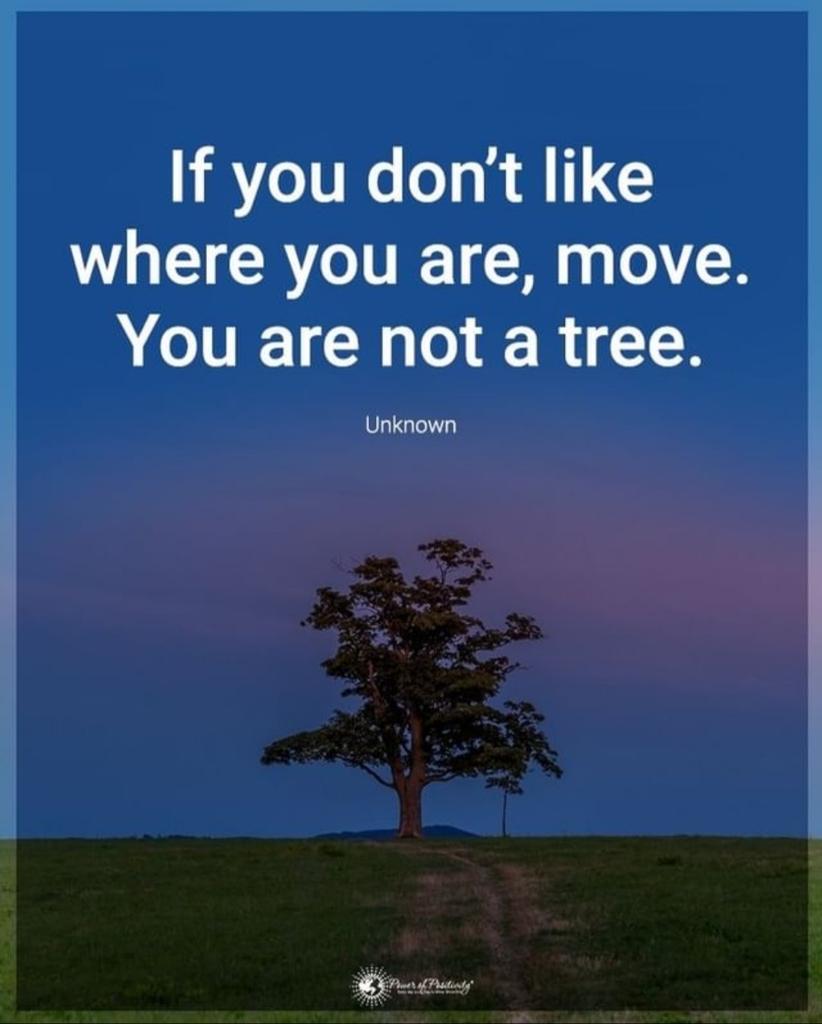 CECSD_HS's tweet photo. Some people get that feeling like they are stuck. If you need to make moves mentally, ask for help. If you need to make moves with your health, ask for help. If you need to make moves with academics, ask for help. Get the point? Ask for help. #WeAreCortland #AllMeansAll https://t.co/COcV65Z2di
