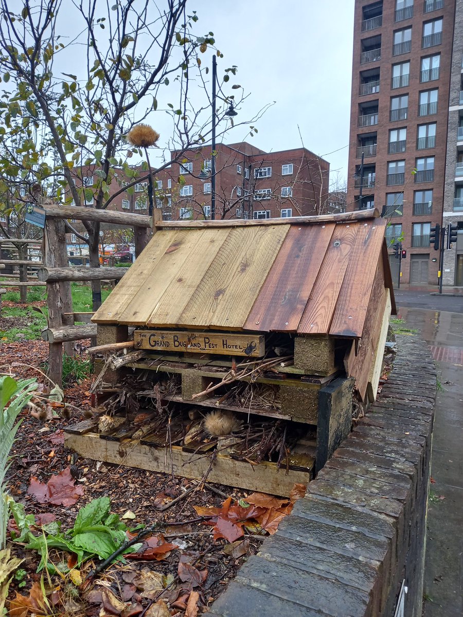 AdamsLilisace's tweet photo. Nice one Brixton Orchard! Nailed the name of your bug hotel๐๐๐. #funwithpuns https://t.co/sqqXzhHlo8
