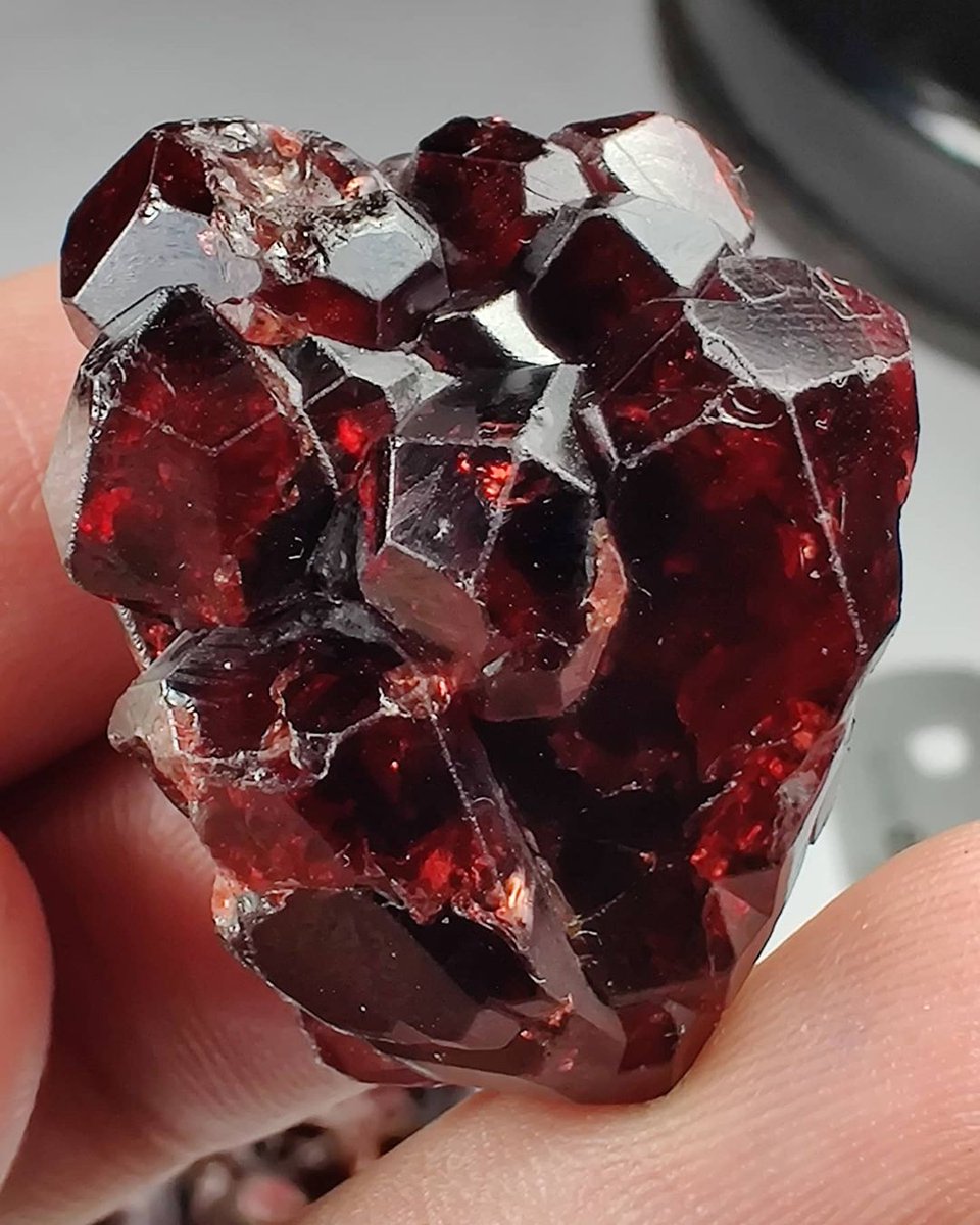 GeologyTime's tweet photo. Beautiful garnet crystals one cluster with combination of Aquamarine from Afghanistan

Photo: Minerals X (Fayyaz Ahmed)

#minerals https://t.co/lhHGvCiJfM