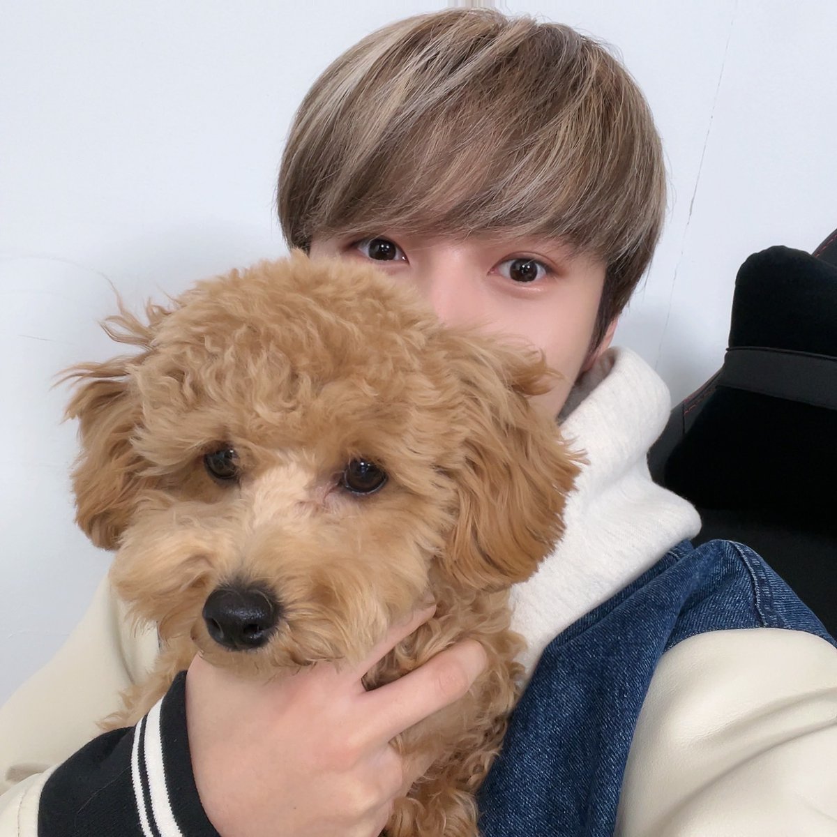 huangsfjswnls's tweet photo. renjun 🦊💭 https://t.co/9krSzRFE5X