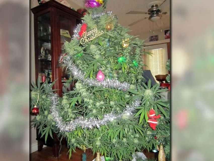 Pues ya tenemos el árbol montado, ni tan mal oye