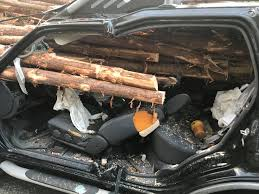 DailyPrimus's tweet photo. Além disso, mais para frente, o carro do garoto que ele tinha declarado como roubado, estava batido em uma das árvores. A perícia decretou que Joaquin havia sido morto dentro do carro de Haarmann e que ele estava provavelmente tentando se livrar das provas+ https://t.co/of9VqTaBHP