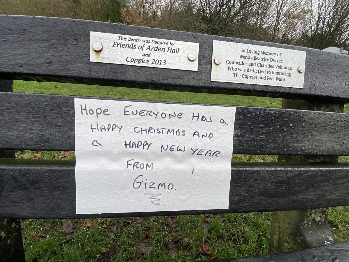 Christmas 2022 Toadlover404 Alison (@Aws29) / Twitter