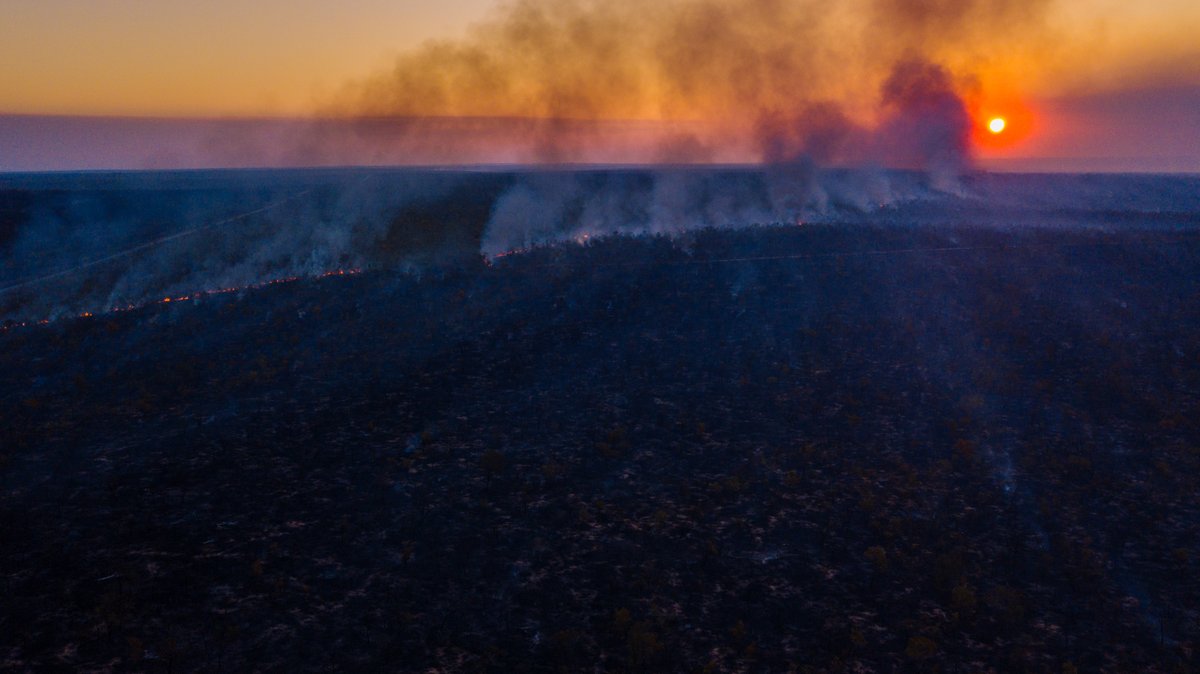 savethecerrado's tweet photo. The #Amazon burns but less known #Cerrado is burning too, for the same reasons: land grabbing for cattle ranching & #soybean consumed in the EU for animal feed. Strong EU anti-deforestation legislation urgently needed.
#SavetheCerrado #Together4Forests https://t.co/VpMVDfjfxU