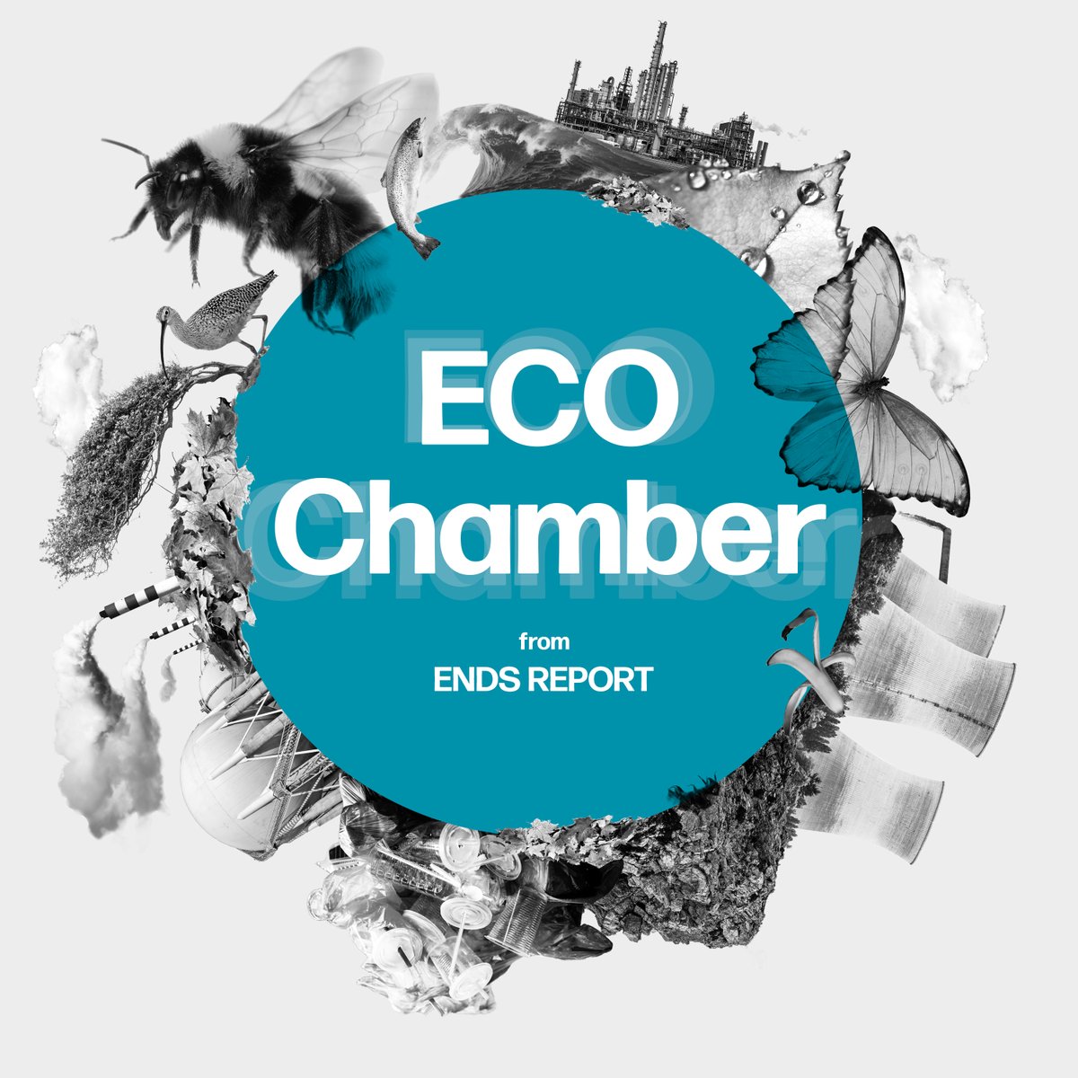 RachSalv's tweet photo. Want to hear me and the ENDS team chuntering on about rewilding and eco colonialism, the revenge of the chickens, toxic tattoos or even playing Top of the Poops, on our new Eco Chamber podcast? 
No? OK, then. Even tho it's free? I'll just leave it here...

https://t.co/WrAy0mKJCh https://t.co/JrzCLFHmh5
