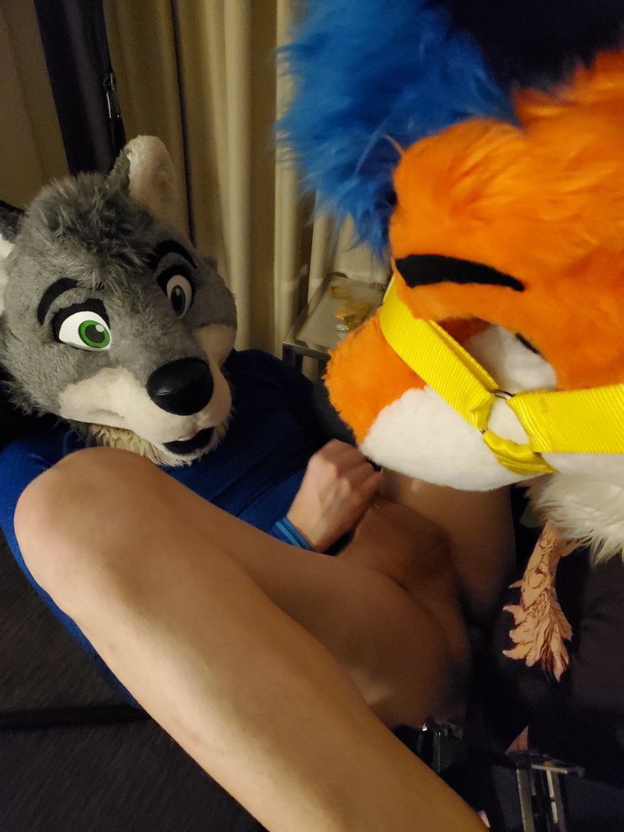 RusanHuskyAD's tweet photo. Good boys get treats @KnotaDox https://t.co/R6aGLsDrhr