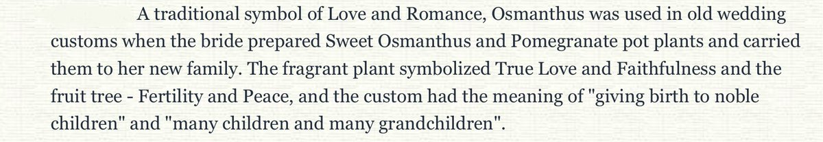 hasharakl's tweet photo. Do you mean Zhongli wanna drink osmantus wine with venti when the meaning of osmantus flowers is literally “i love you so much let’s get married” 

Is Zhongli SO DESPERATE? 

#zhongven https://t.co/Qy0g84aBoh