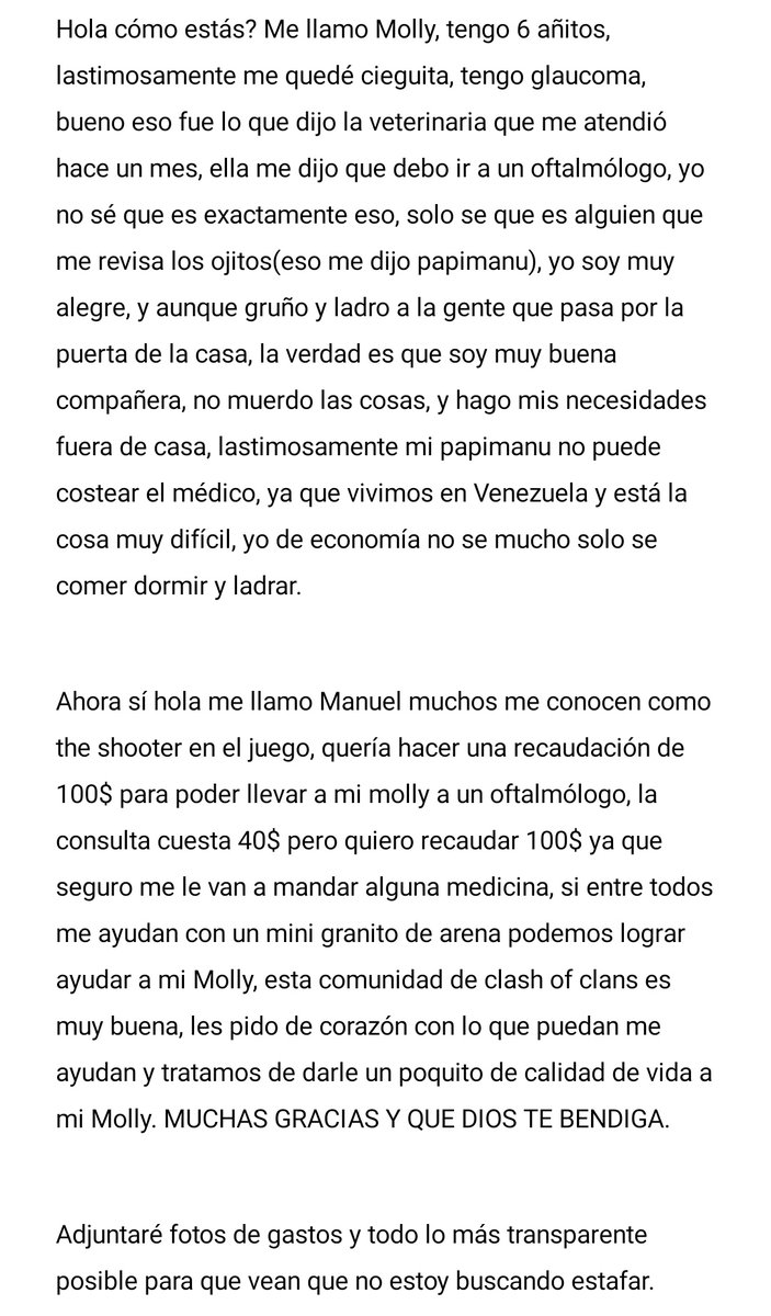 The Shooter tweet media