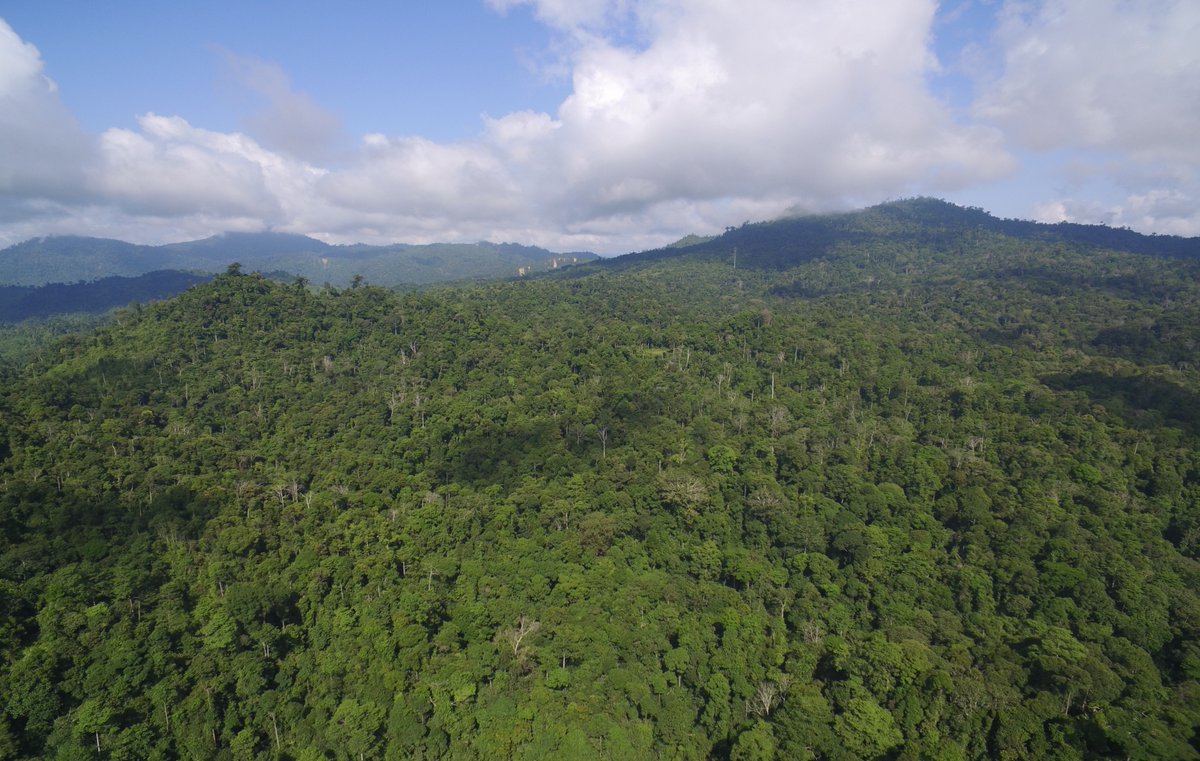 SAFE_Project's tweet photo. JOB ALERT! Postdoctoral Research Associate in Microclimate Modelling at Imperial College - this can be a part time or full time PostDoc  - fixed term until Sep 2024 - Applicants from climate, hydrology, physics or ecology backgrounds can apply! https://t.co/qbSQXHjjXX #postdoc https://t.co/rCdcCliNCf
