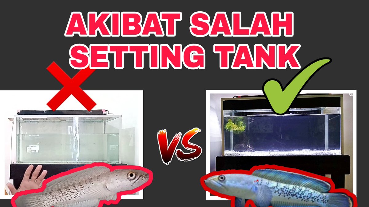 Umam_lah's tweet photo. https://t.co/p3Azouo67B https://t.co/PkKYCz3z3P