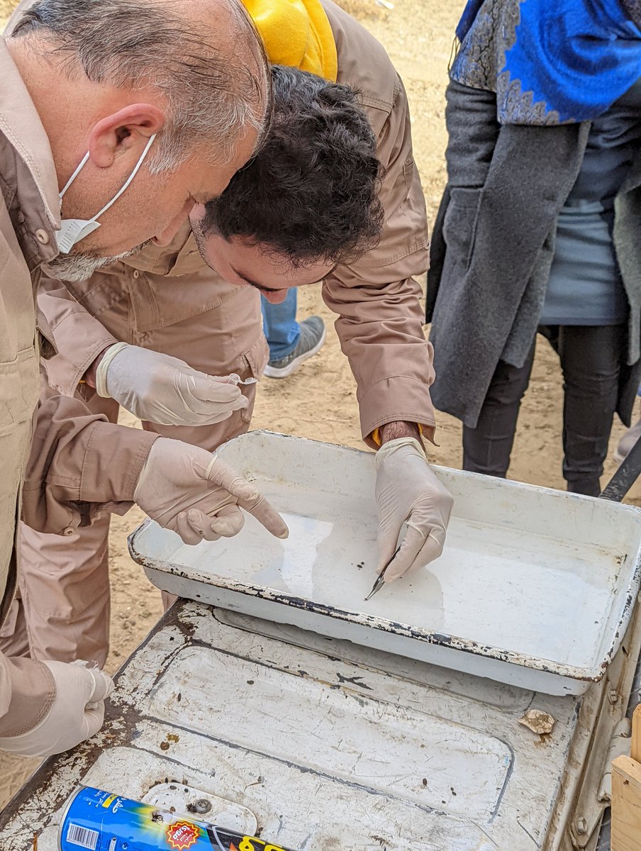 baselkaro's tweet photo. Keeping track of  #plague circulation among #rodents #Iran zoonotic #seroprevalence  Iran_CDC #pasteur #WHO #RKI https://t.co/2M3SYom4XD