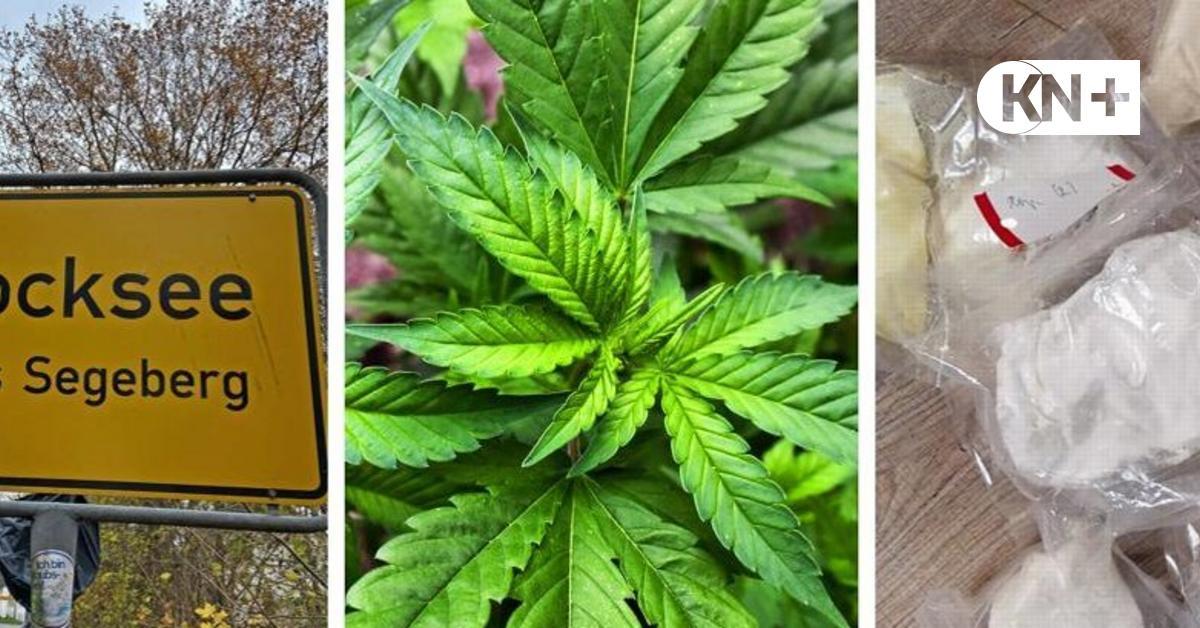 kn_online's tweet photo. In der Wohnung eines 38-Jährigen in #Stocksee hat die #Polizei Bad Segeberg mehrere Kilo verschiedener illegaler #Drogen und eine Cannabisplantage gefunden. Der Mann steht unter Verdacht, seit Jahren mit Betäubungsmitteln zu handeln. https://t.co/GQasQ8DqXB https://t.co/mqtiQs2Qjx