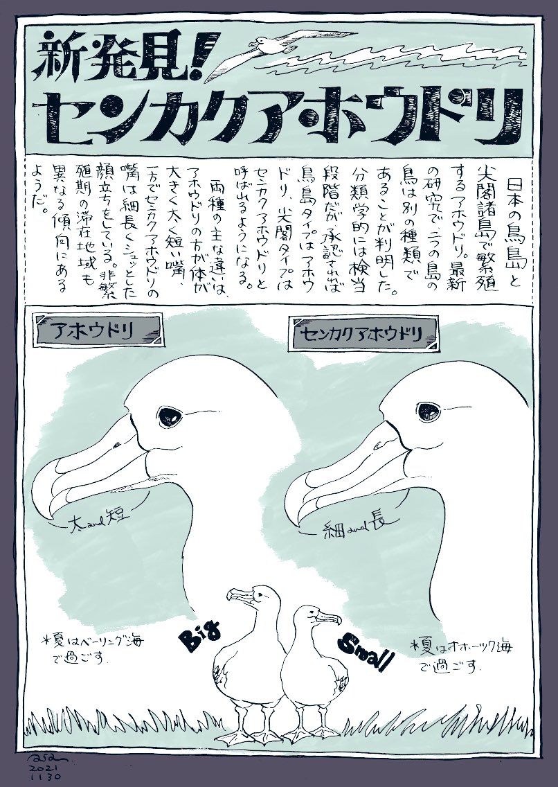 さいとうあさこ とりなうた Asako Bird Twitter