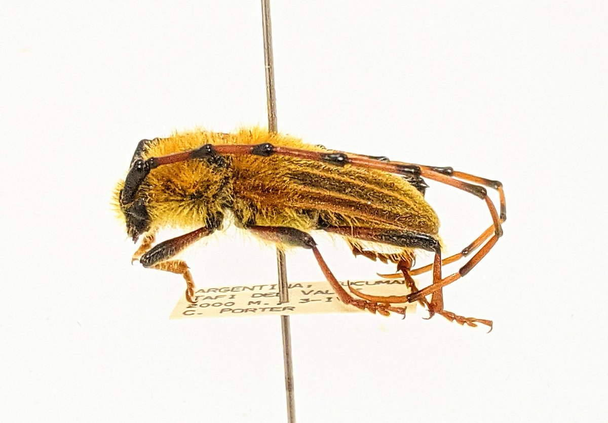 Oliver Keller Ph.D. tweet media