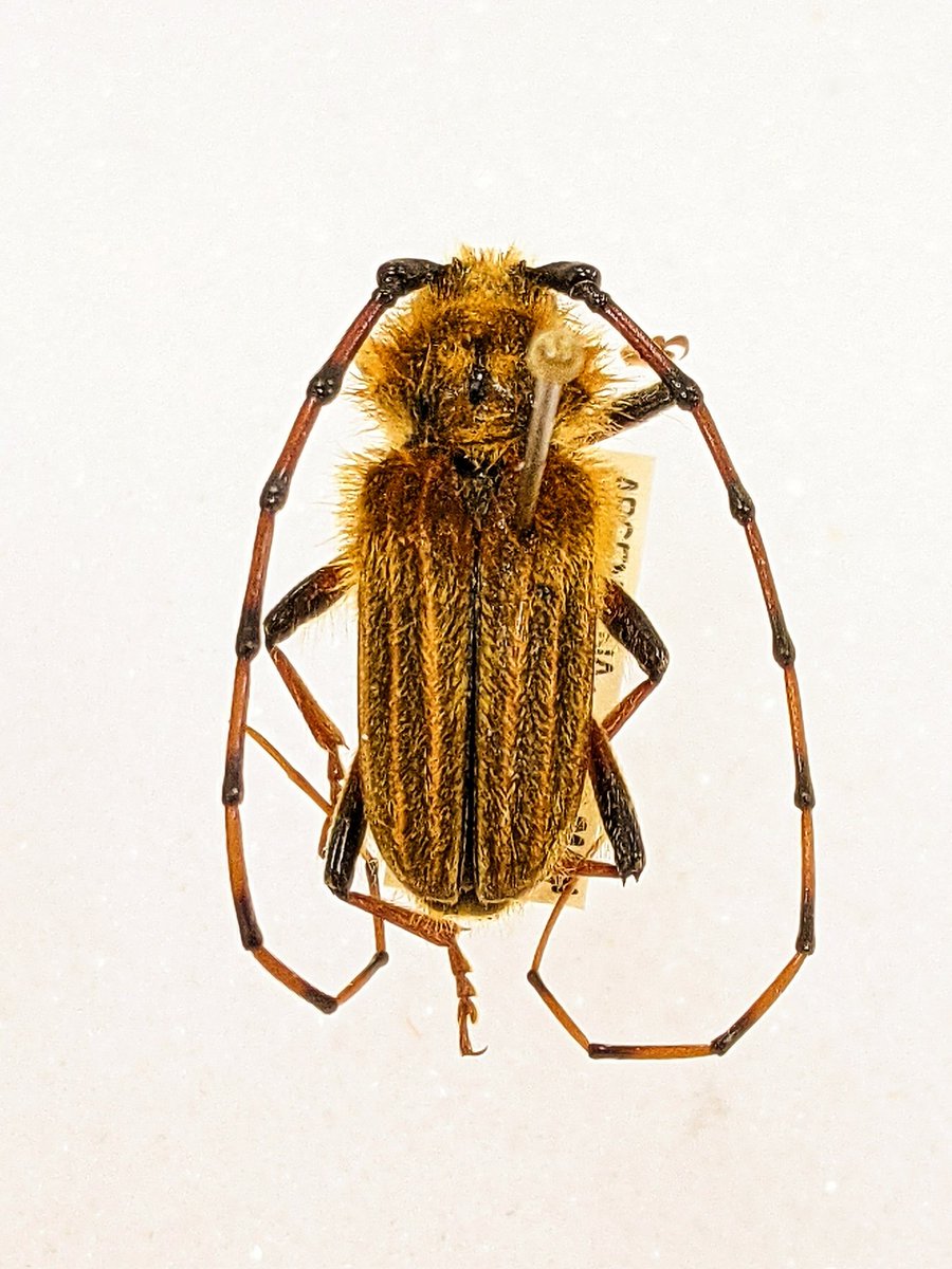 Oliver Keller Ph.D. tweet media