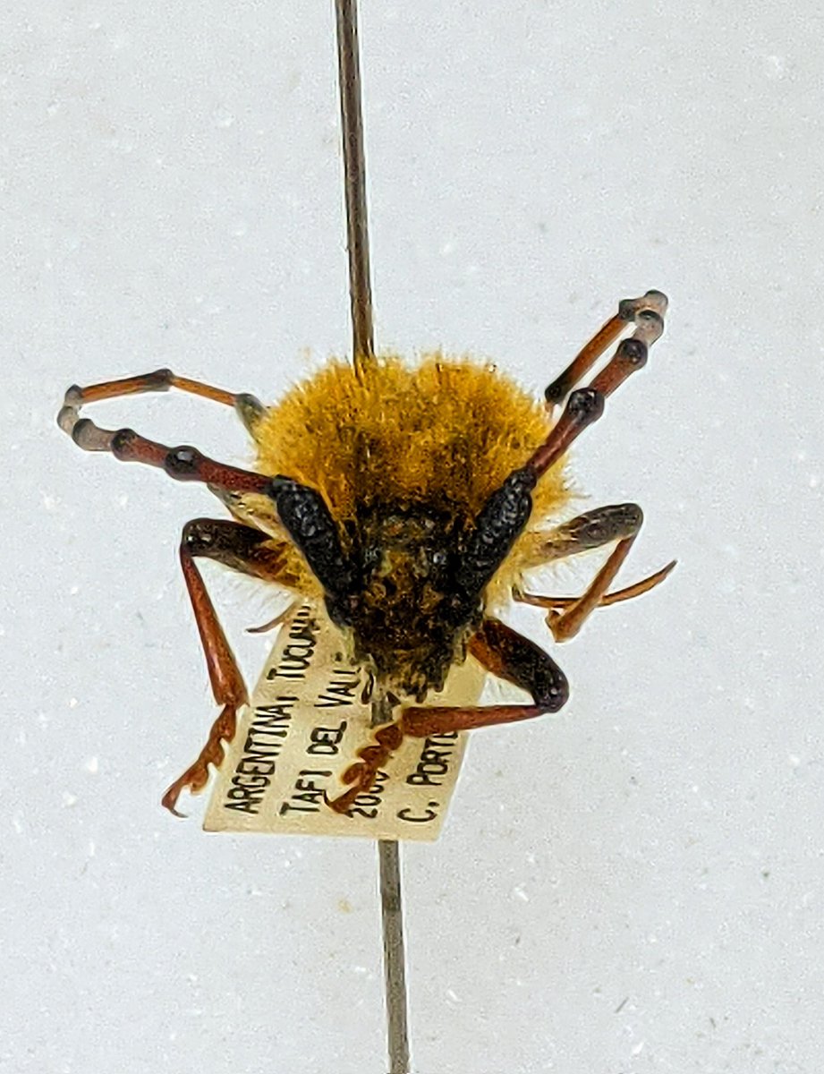 Oliver Keller Ph.D. tweet media