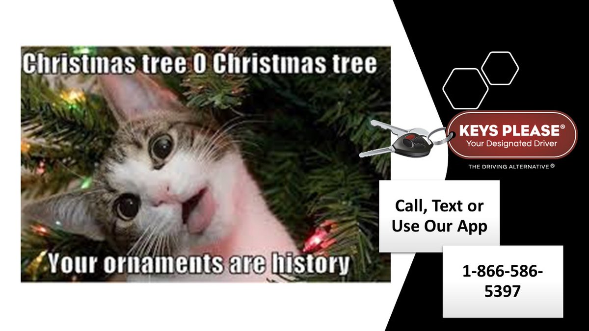 Happy Tuesday, we are starting to look a lot like Christmas. #happytuesday #drinking #beer #wine #cannabis #impairment #impiareddriving #designateddriver #driving #vehicles #transportation #support #safety #christmas #calgary #yyc