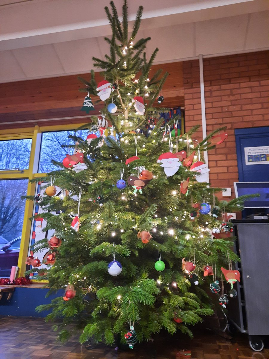 SacredHeart_RCP's tweet photo. Oh Christmas tree, oh Christmas tree, how lovely are your branches!.....especially as every child in school had made their own bauble 🤩 We are all special, but when we come together we make something truly magical! https://t.co/7Ahe7hmtSV