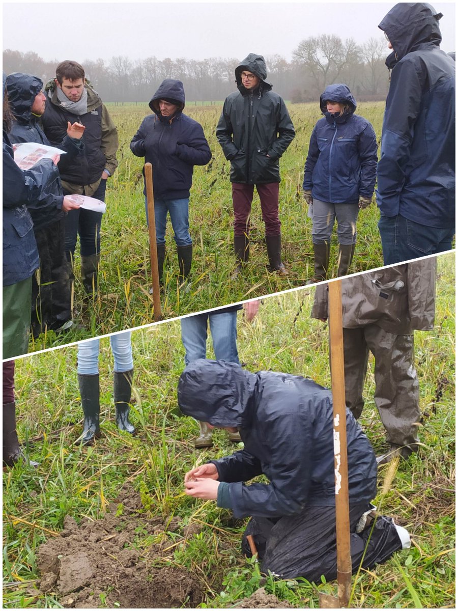 💦🌱Réunion de terrain pour les partenaires de <a href="/CLIMATVEG/">Projet CLIMATVEG</a> travaillant sur la couverture des sols en gdes cultures - polycultures ! 
Au menu : partage de protocoles et outils d'évaluation (méthode VESS...)
➡️ Action 3.1 pilotée par la <a href="/ChambagriPdL/">Chambres agri PdL</a> 
#EauSolPlante
