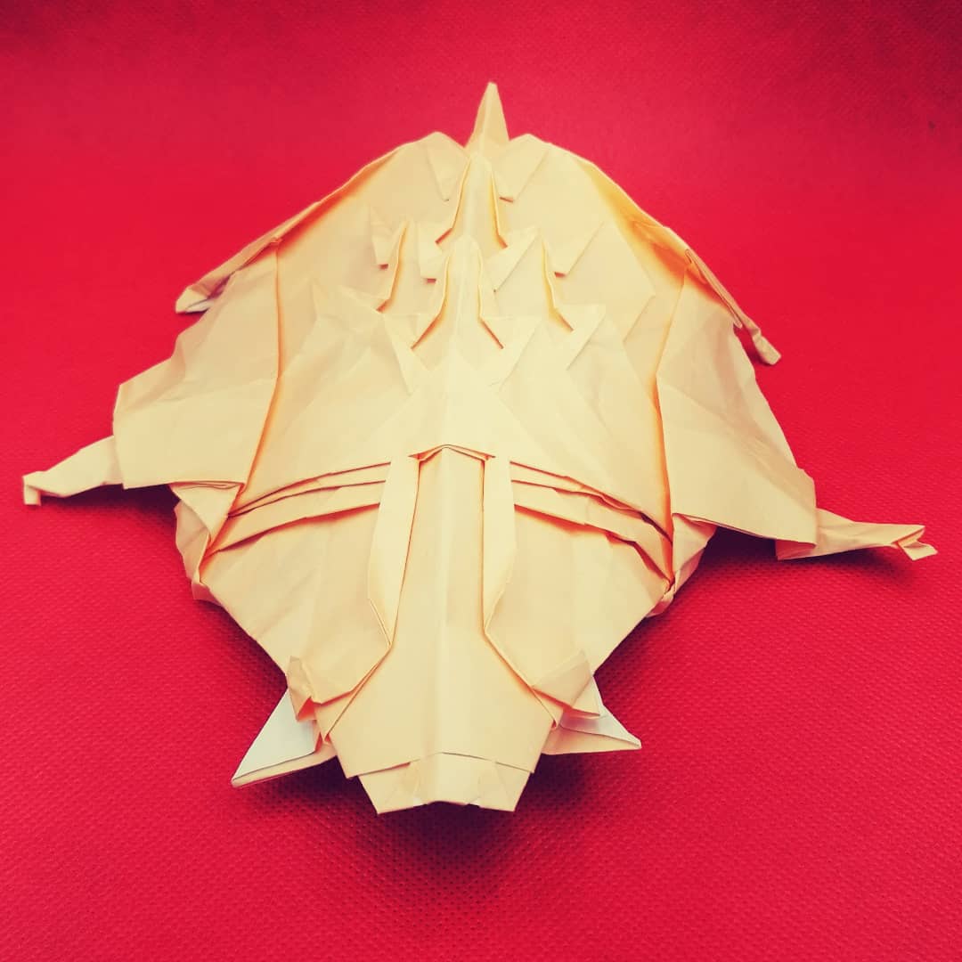 haidewiets's tweet photo. Holiday Red
Festive flat.... 

Wikd Boar
Fumiaki Kawahata 

#boar #fumiakikawahata #quills
#festive #flat #tortilla #holidays2021 
#haidewiets  #ZheZhi  #origami 
#h折り紙 #摺紙 https://t.co/eEWwYWqnnD