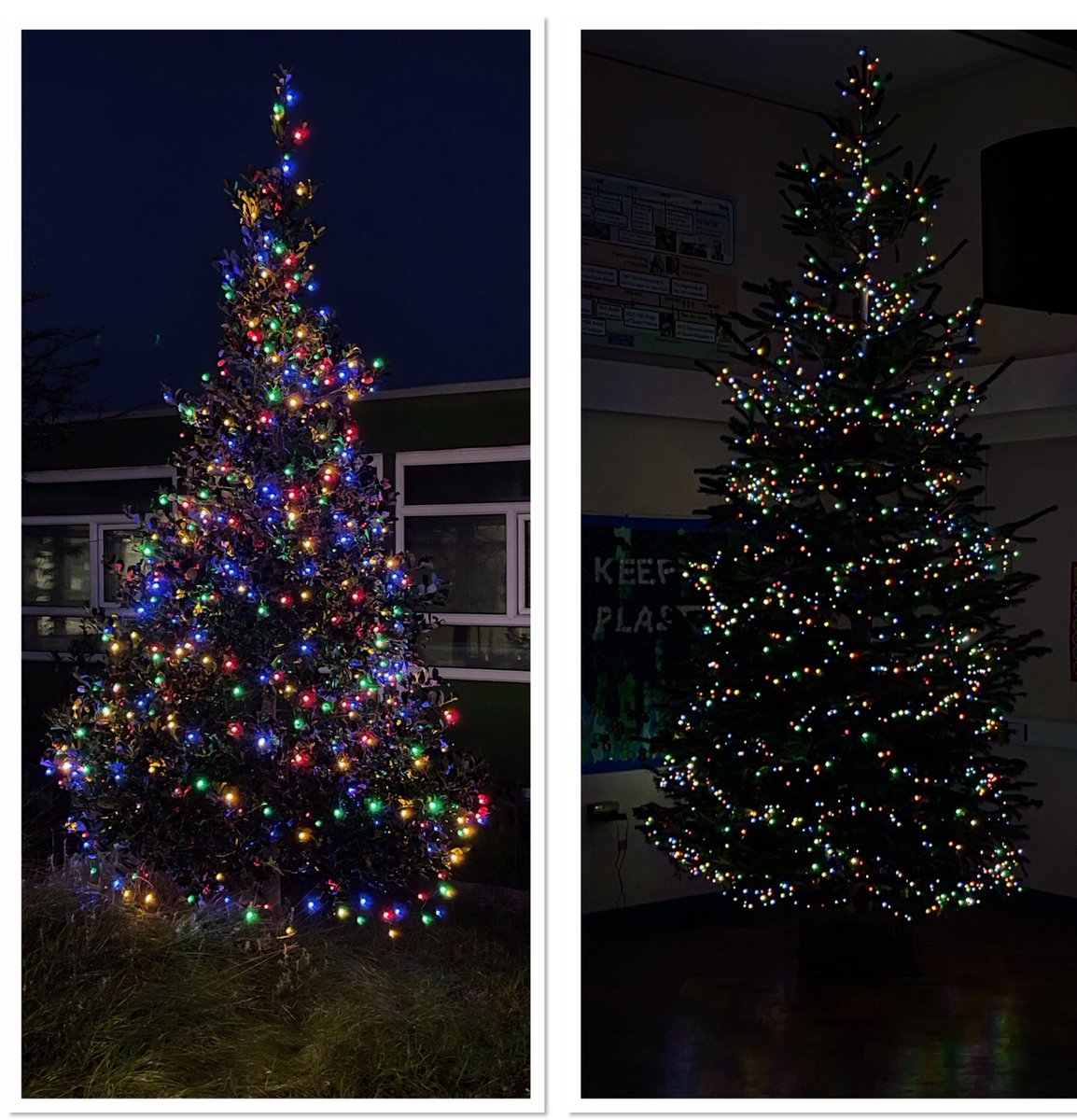 WoodlandsFormby's tweet photo. 🎄It’s beginning to look a lot like Christmas!
2 of our trees in school. The one on the left is a holly tree in the junior quad festooned with Christmas lights.  The other tree has again been kindly donated by Wright’s Landscaping Services &amp; is in the junior hall for all to see🎅 https://t.co/MFk6Jljztw