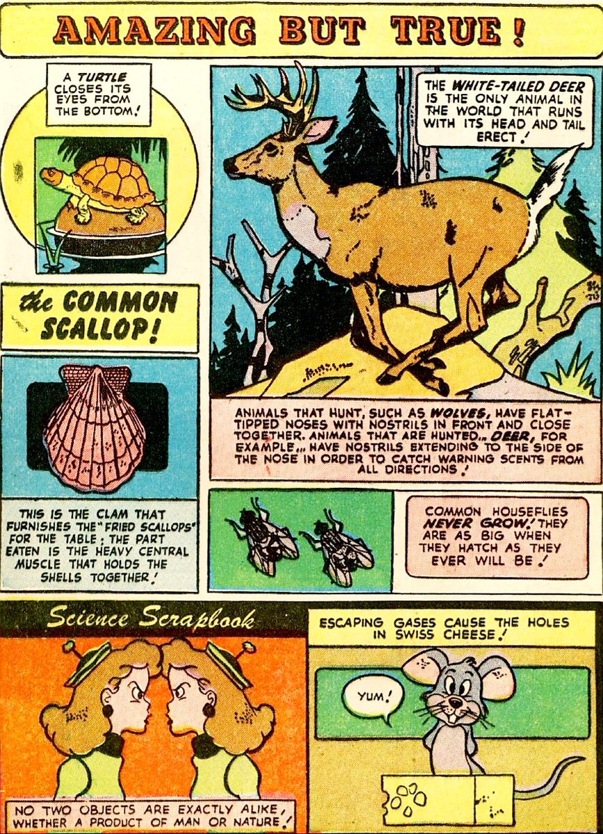 Claudia_Menlo's tweet photo. #ComicBookScience from 1954. https://t.co/329HwfQLQ9