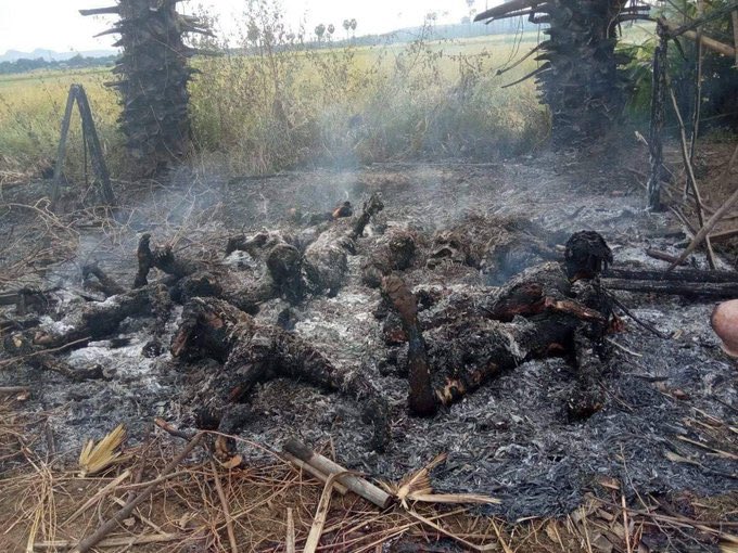 GRAPHIC: At least 11 civilians have been tied and burned today in Salingyi Township, Sagaing Region, Myanmar. Locals said that they heard the groaning and asking help from that place but couldn’t help. #WhatsHappeningInMyanmar #BurntAliveByJunta