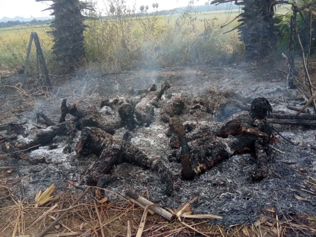 Karsia6R's tweet photo. Tw// Burnt Bodies
Junta’s security force set fire 11 villagers in Salingyi township, in Sagaing region, Myanmar on Tuesday according to local media report https://t.co/LVfjQDzkDB

#BurntAliveByJunta 

#TerroristsJunta
#Dec7Coup 
#WhatsHappeningInMyanmar https://t.co/jpfroo0iGS