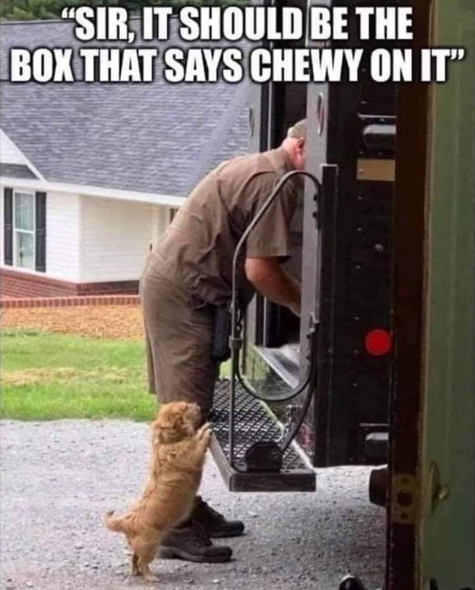 PjInsana's tweet photo. Extra holiday help.

#dogsoftwitter #dogs #deliveryguy #deliverydog #holidayseason #holidayhelp #PositiveVibes https://t.co/mJay8Tp2pc