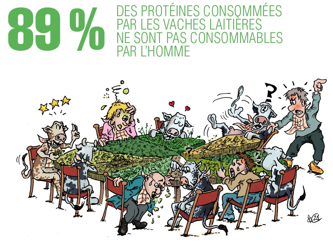 Fin du projet #ERADAL | Les vaches laitières 🐄 mangent-elles dans nos assiettes 🍽 ?
🔸 Si la ❓ se posait, le doute est levé grâce au projet #ERADAL👏
✅ Les 🐄 produisent ➕ de protéines consommables par l’Homme qu’elles n’en consomment 👍
📌 + d'info : cutt.ly/jYcdACV