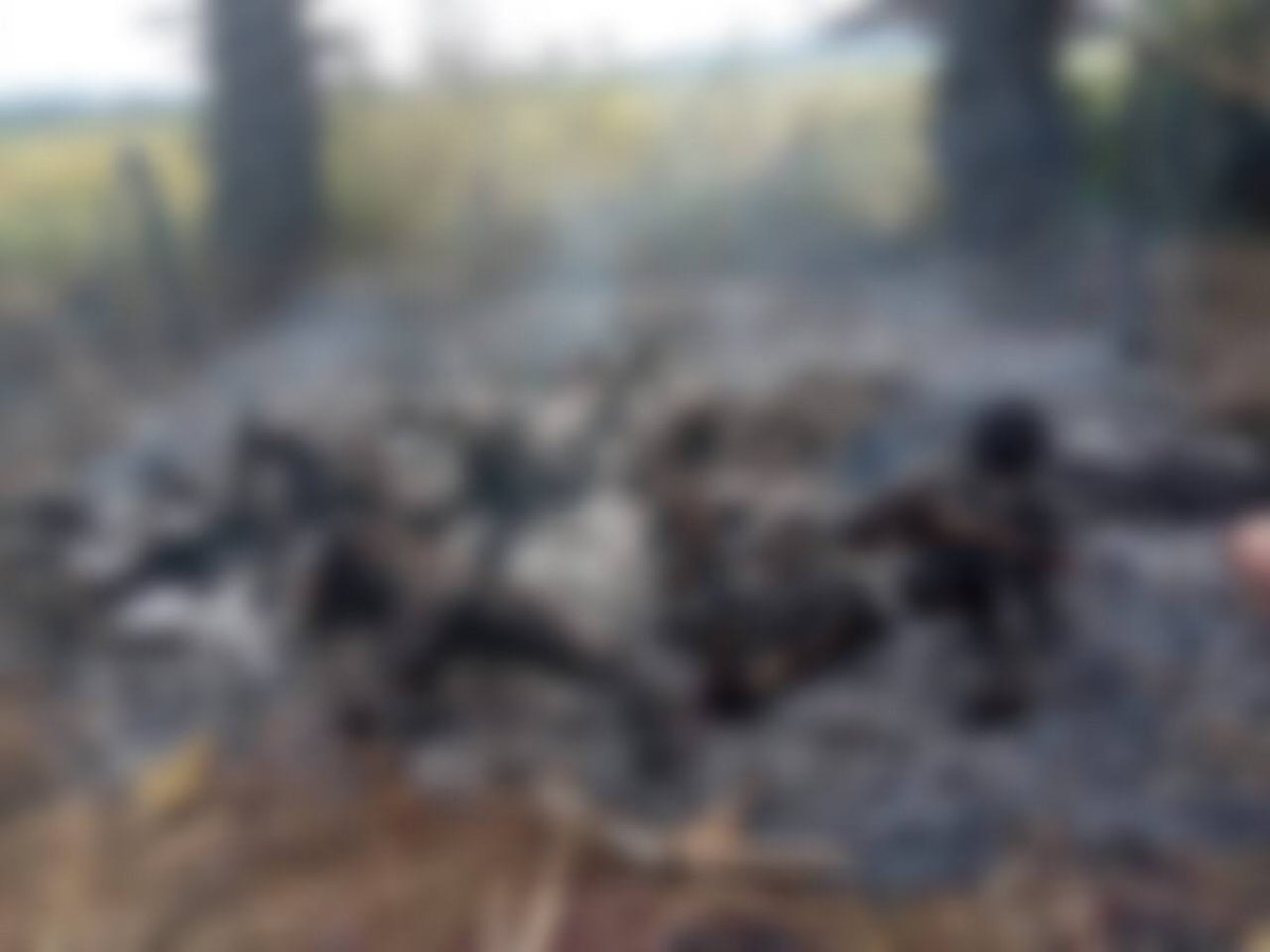 DedicatedToKAI's tweet photo. TW // death : 11 villagers in Sarlingyi,Sagaing,Myanmar were tied up&amp;burnt alive by SAC junta soliders today around 8AM.They were MURDERED without any reasons.This is a complete CRIME AGAINST HUMANITY!Justice is gone under military coup here.Please help us....
#BurntAliveByJunta https://t.co/owROHibAyx