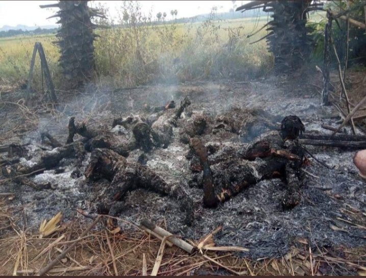 GRAPHIC : At least 11 civilians have been tied and burned in Salingyi town, Sagaing division, #Myanmar by Junta thugs. I'm so hair-raising to image their groaning and screaming crises amid fire. Can the world afford to watch only #Genocide series of Junta ?

#BurntAliveByJunta