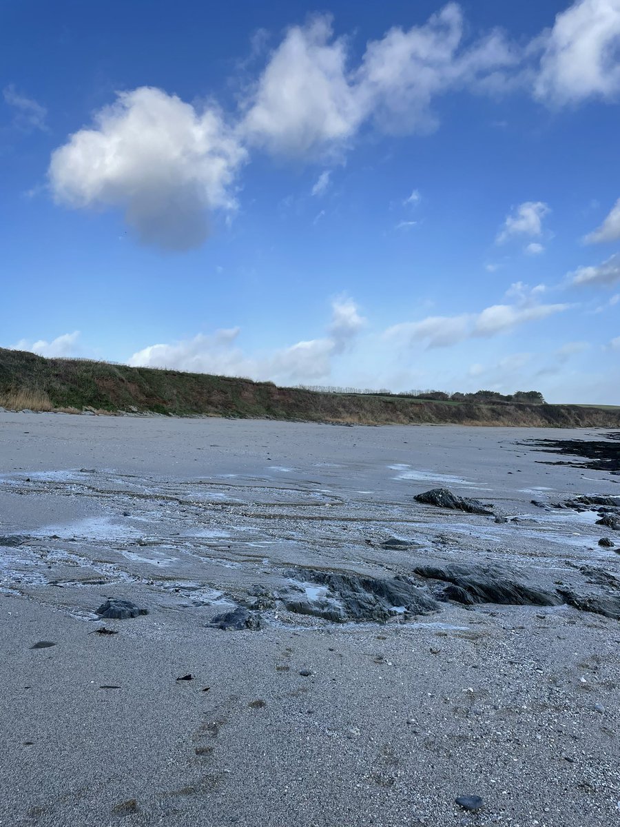 gingerfig's tweet image. #currentview #emptybeach 💙