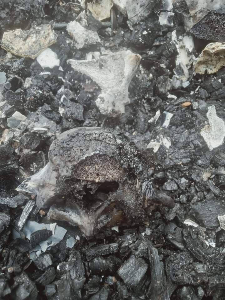 auaukhin's tweet photo. Tw // Graphic Content (Burnt Bodies)
SAC abducted a civilian, Lal Ro Mawi (24) working in field around 8am and used as HUMAN SHIELD. Afterwards, they inhumanely burnt him down to death alive during the arson attact on OhhMyayHtoo,Kale.

#BurntAliveByJunta
#WhatsHappeningInMyanmar https://t.co/vk7EnouCOp