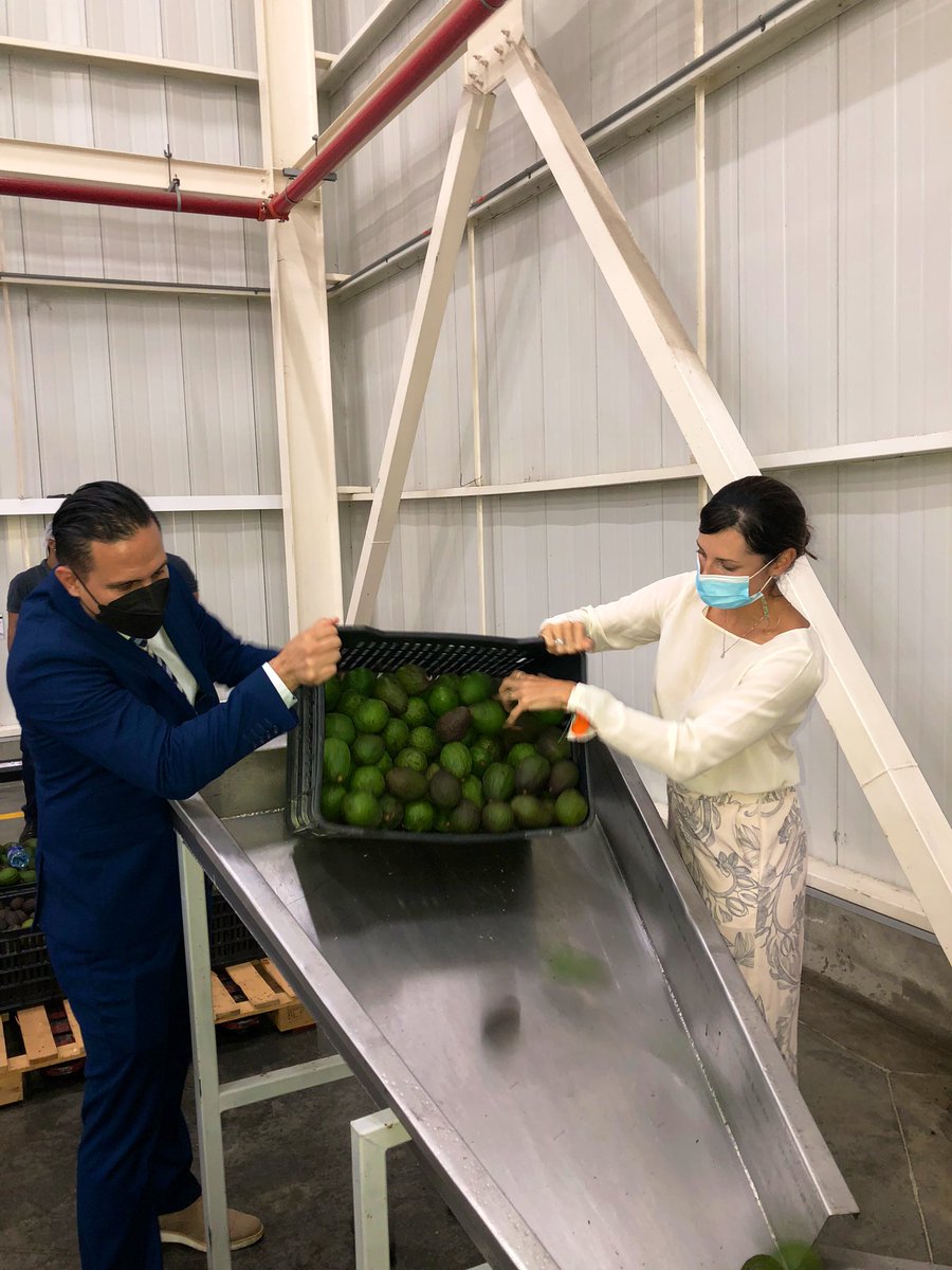 Cagarciaf's tweet photo. Desde @PROCOLOMBIACO tuvimos el gusto de acompañar la inauguración de la planta de producción de aceite de aguacate de @NaturaBio_MX en Palmira, la cuál será la más grande de Colombia y desde donde se espera proveer al mundo entero. https://t.co/KiDBf5N14T