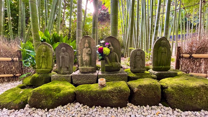 報国寺3  被写体を探しながら歩いてるんだけど何をどう撮ればいいのか…写真も難しいですね(^q^) 