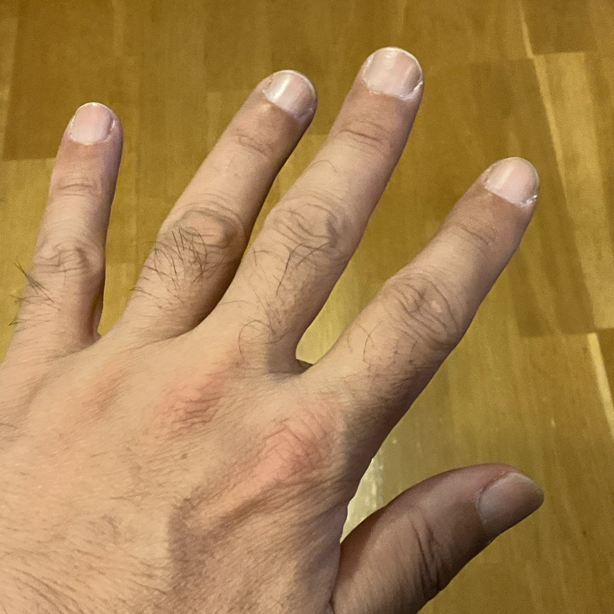 KTM819O4's tweet photo. #HANDVEIL #RichNail #ツヤなし #補強ファイバー 
ツヤなしなので買ってみました！(´∀｀*)／ https://t.co/oCkSTKIayh