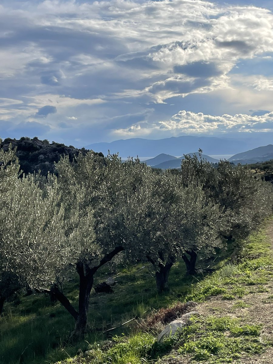 BeyondBex's tweet photo. The views in the #Peloponnese are spectacular
@RoughGuides #RGOnTheRoad @VisitGreecegr #roadtrip #travelwriter https://t.co/3M8kky55Fw