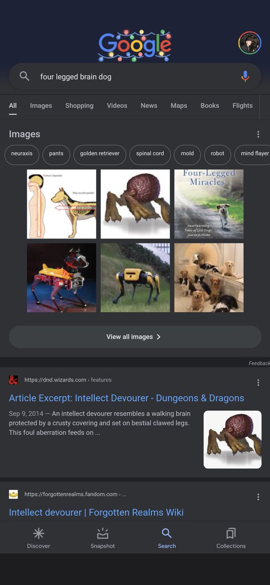 I am way too excited that after referring to a four-legged braindog, and my SO being confused at the term we have used for it, that I was able to use those exact words to get a photo to remind her. Also that the top result matched via <a href="/Wizards_DnD/">Dungeons & Dragons</a>.