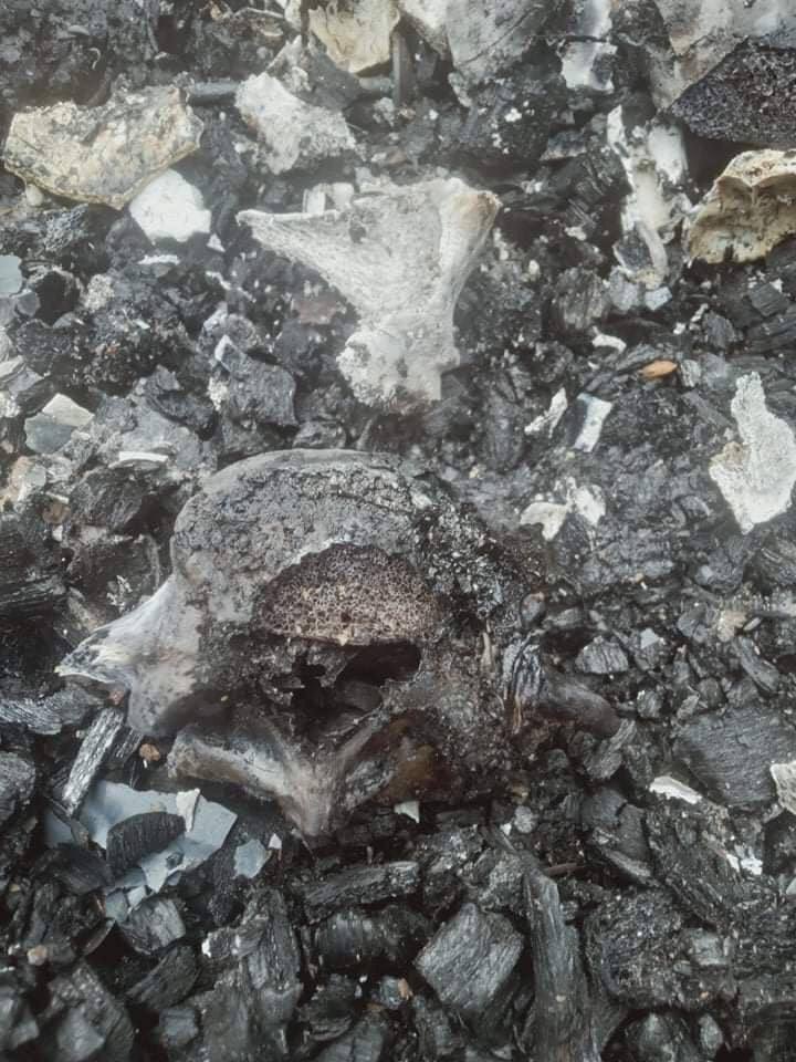 LoyalMyo's tweet photo. WARNING: Graphic Content (Burnt Bodies)
SAC abducted a civilian,Lal Ro Mawi (24) working in field around 8am &amp; used as HUMAN SHIELD. Afterwards,they inhumanely burned him down to death alive during the arson attact on OhhMyayHtoo,Kale.
#BurntAliveByJunta
#WhatsHappeningInMyanmar https://t.co/bE8Euclr8g