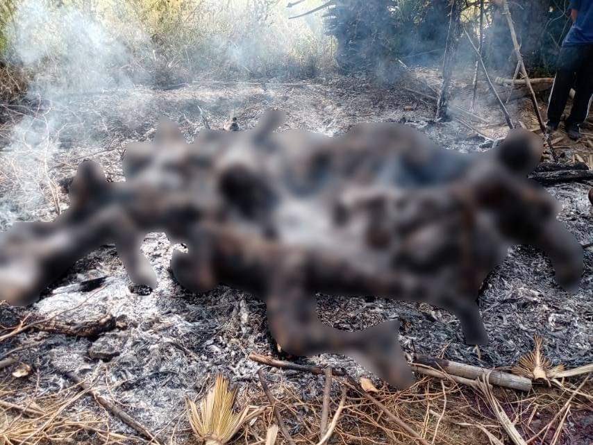 Tw / / burnt bodies 
Junta soldiers burned 11 civilians alive on Tuesday during a raid on a village in Salingyi,Sagaing.Some of the bodies of the victims showed signs of torture. One of the victims was just 14 and another in his 60s. 
#WhatsHappeningInMyanmar #BurntAliveByJunta