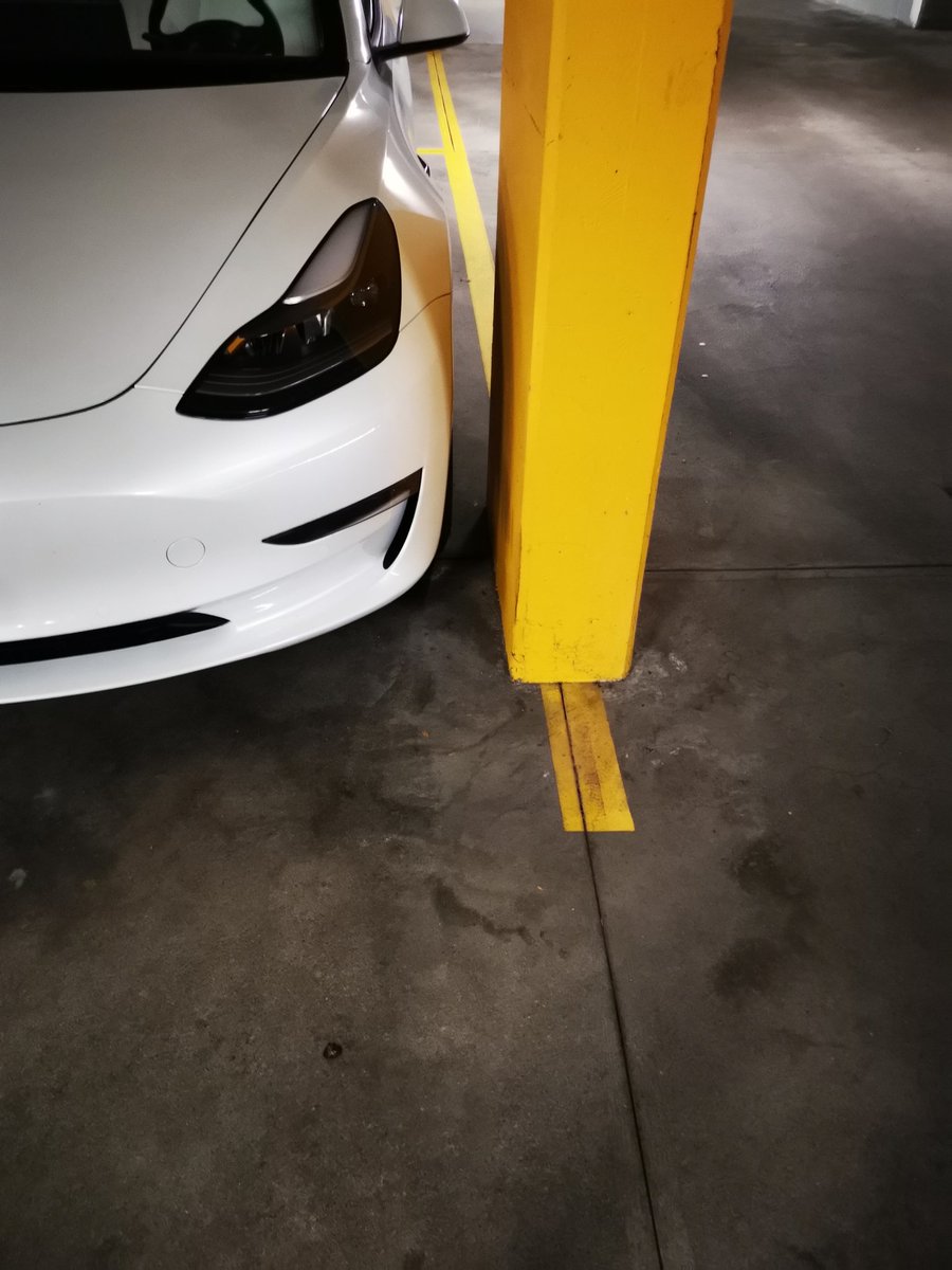 テスラ初心者🔰 tweet media