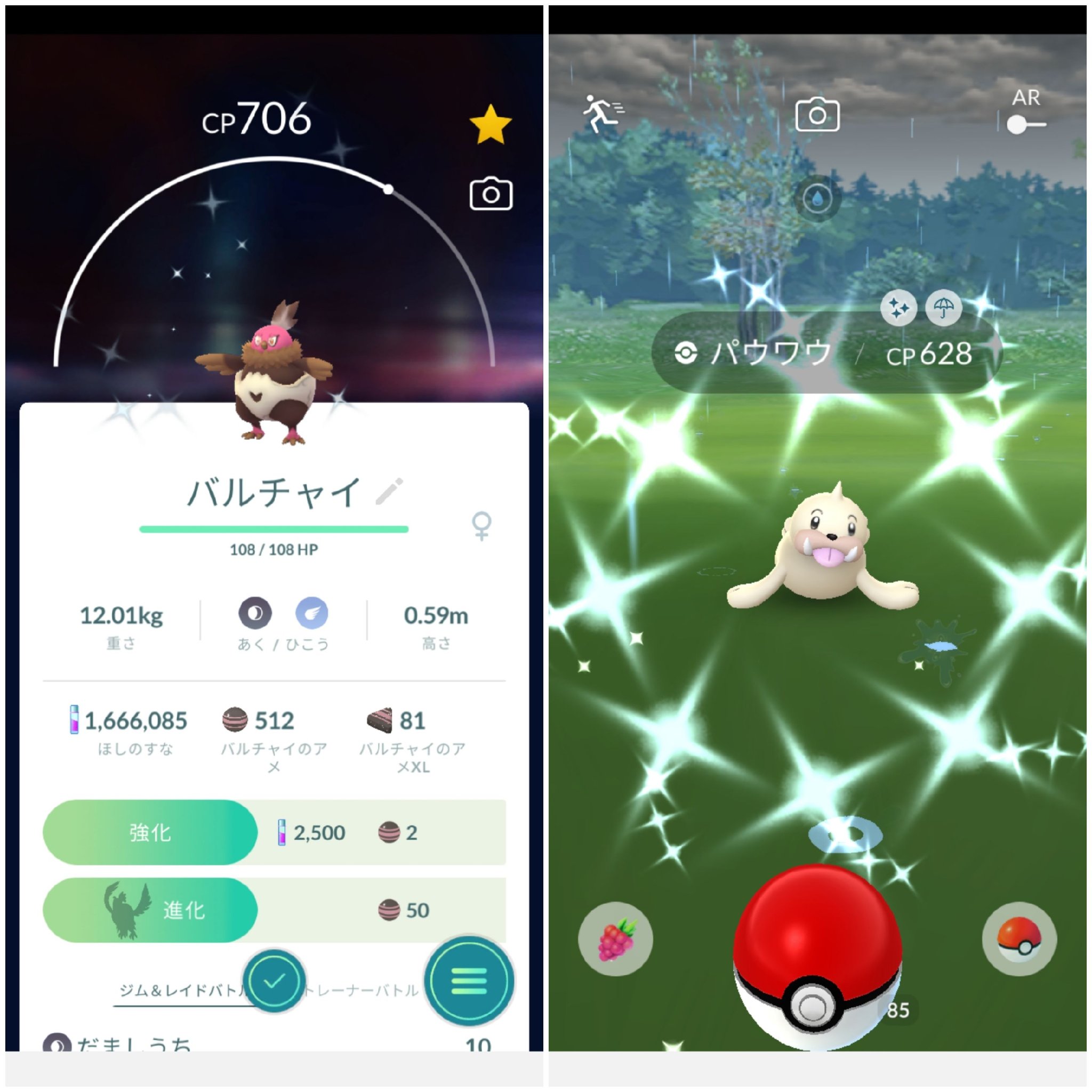 Taichi Pokemon Taichipokemon1 Twitter